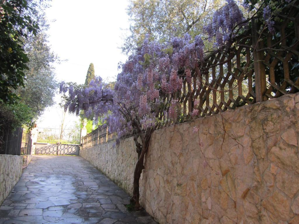 B&B Al Calcandola Sarzana Bagian luar foto